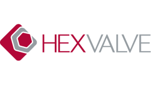 maroon and grey HexValve logo