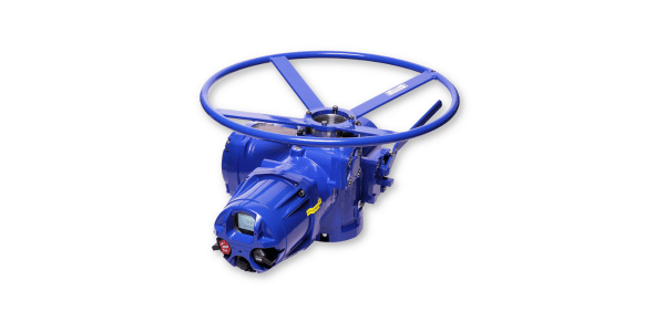 Flowserve Limitorque actuator parts