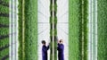 Growing Upward: How MCE’s Conveyor Systems Accelerate Vertical Farming Efficiency